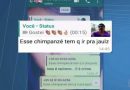 Sobradinho: Servidor presta queixa após ser chamado de ‘chimpanzé’ em rede social Sobradinho: Servidor presta queixa após ser chamado de ‘chimpanzé’ em rede social